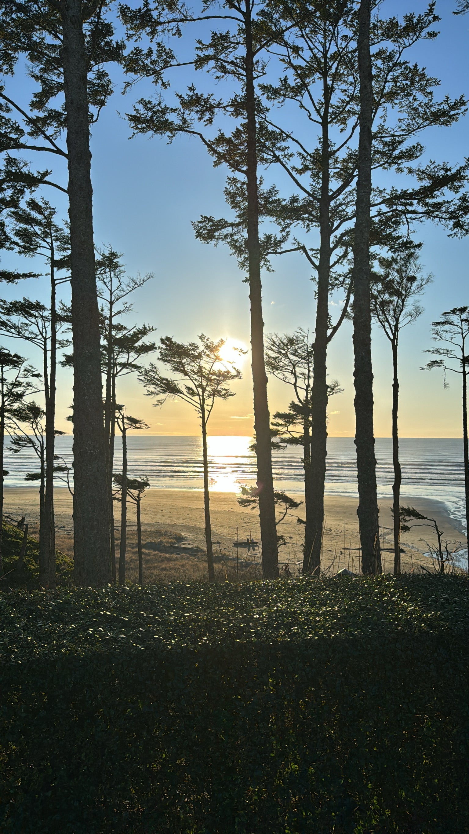 Spring in Seabrook: What to Wear & Do