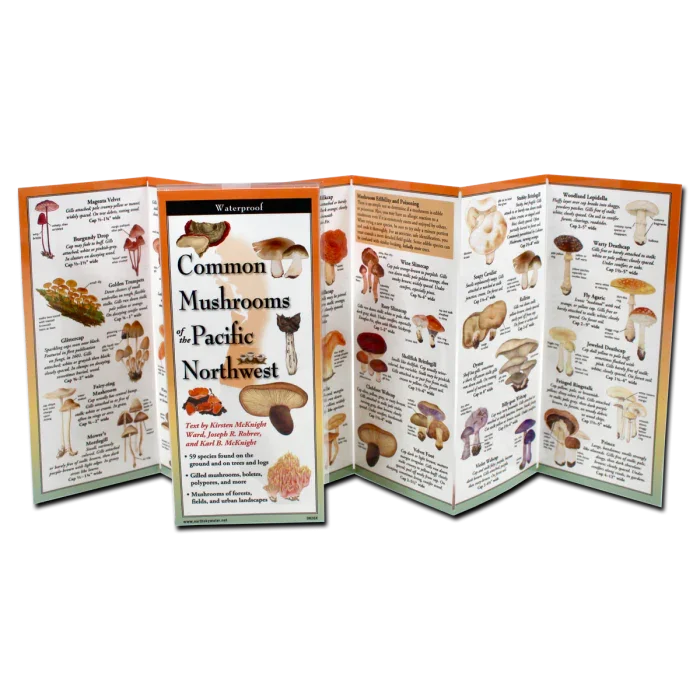 Waterproof guide to common mushrooms of the Pacific Northwest with detailed illustrations and descriptions