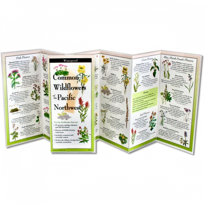 Common Wildflowers of the Pacific Northwest guide, waterproof, ideal for hikers and nature enthusiasts