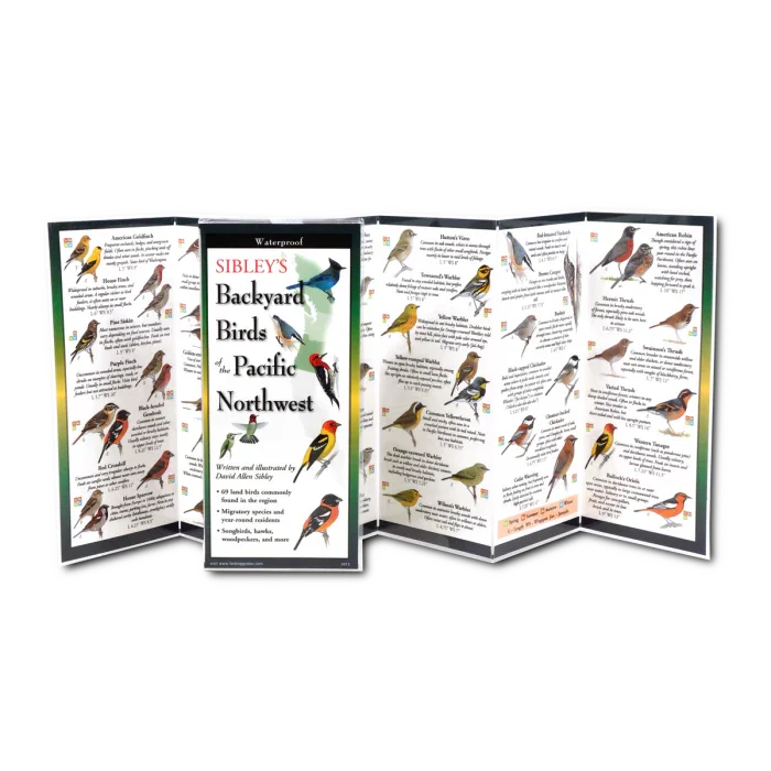 Sibley's Backyard Birds of the Pacific Northwest guide with colorful bird illustrations