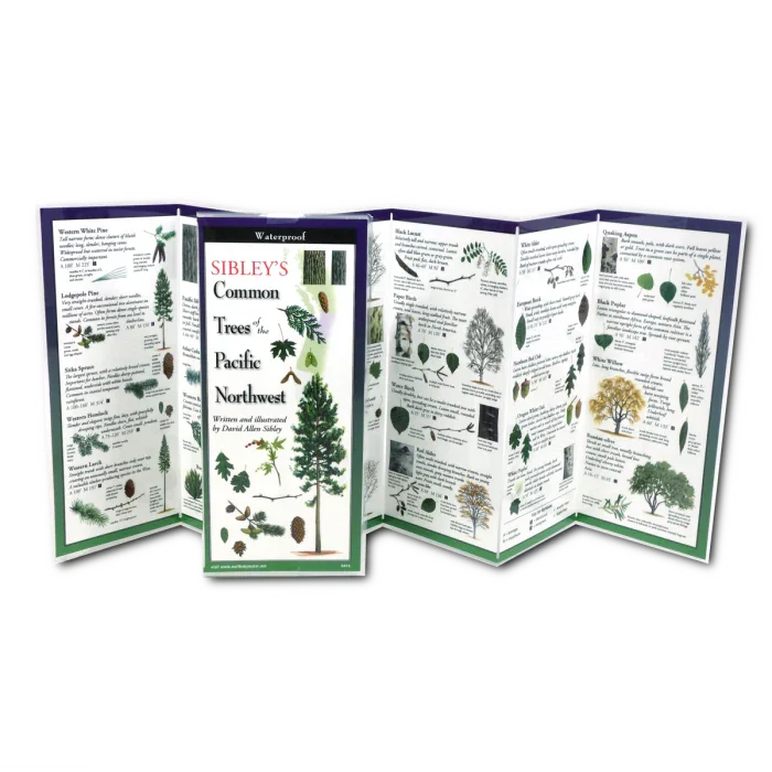 Sibley's Common Trees of the Pacific Northwest guide, waterproof, detailed illustrations, tree identification