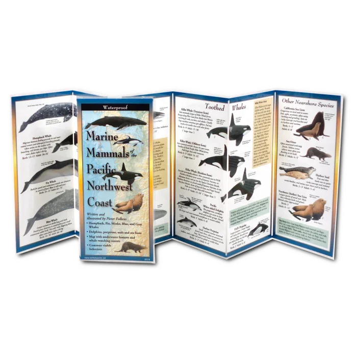 Marine Mammals of Pacific Northwest Coast guide, waterproof, featuring whales and seals illustrations