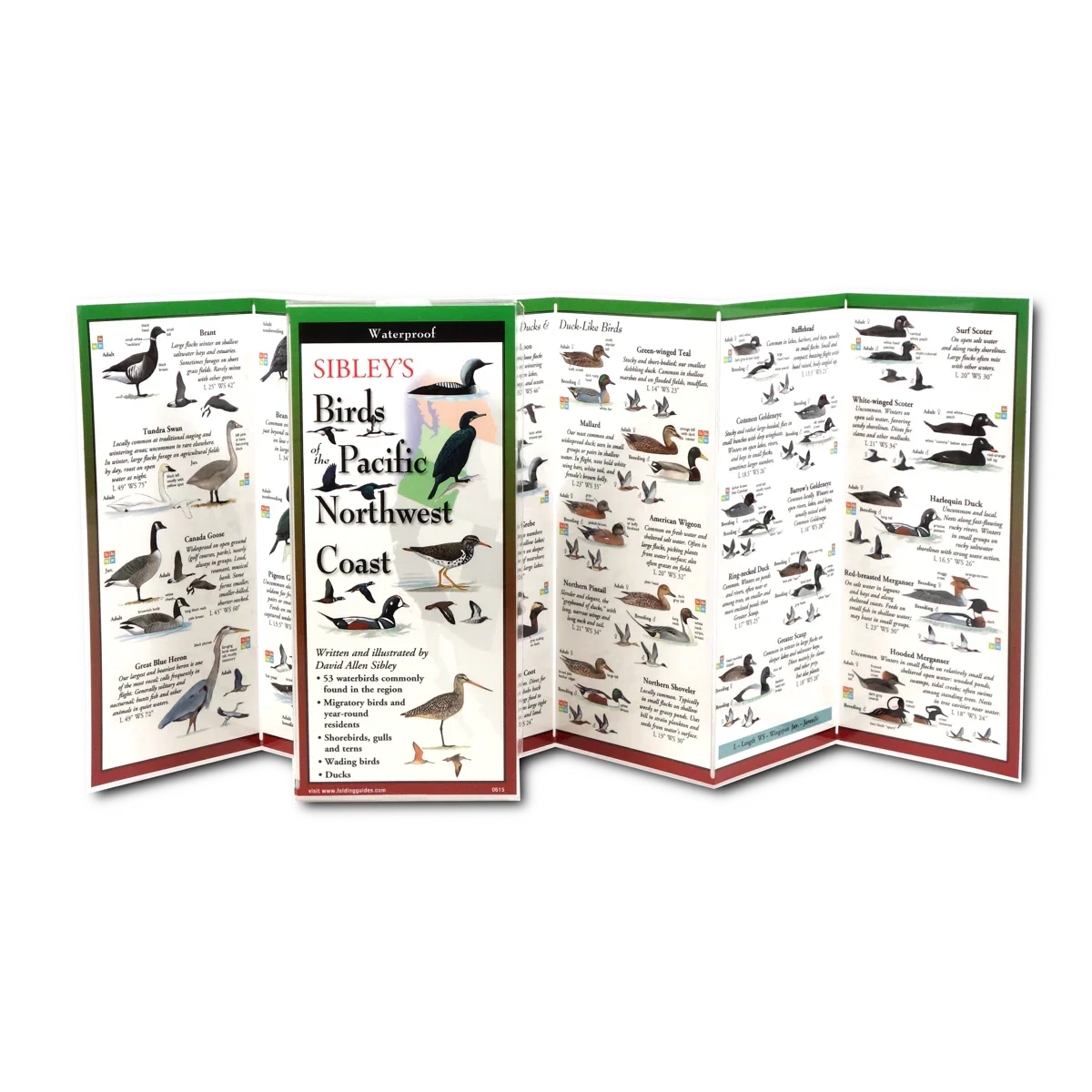 Sibley's Birds of Pacific Northwest Coast guide, waterproof, featuring 53 waterbirds and migratory species
