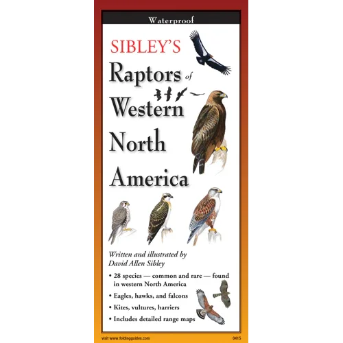 Sibley's Raptors of Western North America guide featuring eagles, hawks, and falcons illustrations