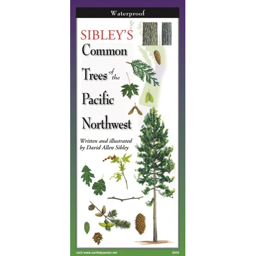 Sibley's Common Trees of the Pacific Northwest guide with illustrations of leaves and pinecones