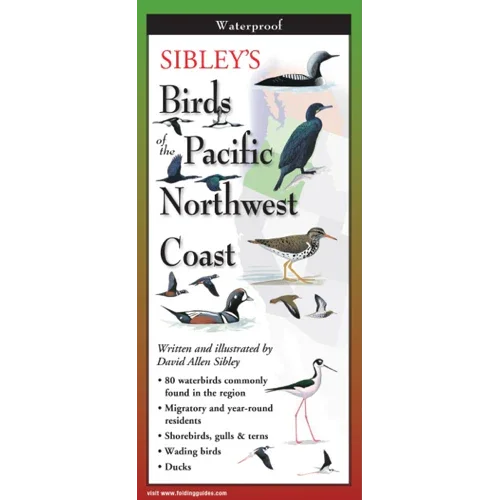 Sibley's Birds of the Pacific Northwest Coast guide featuring waterbirds, shorebirds, and ducks