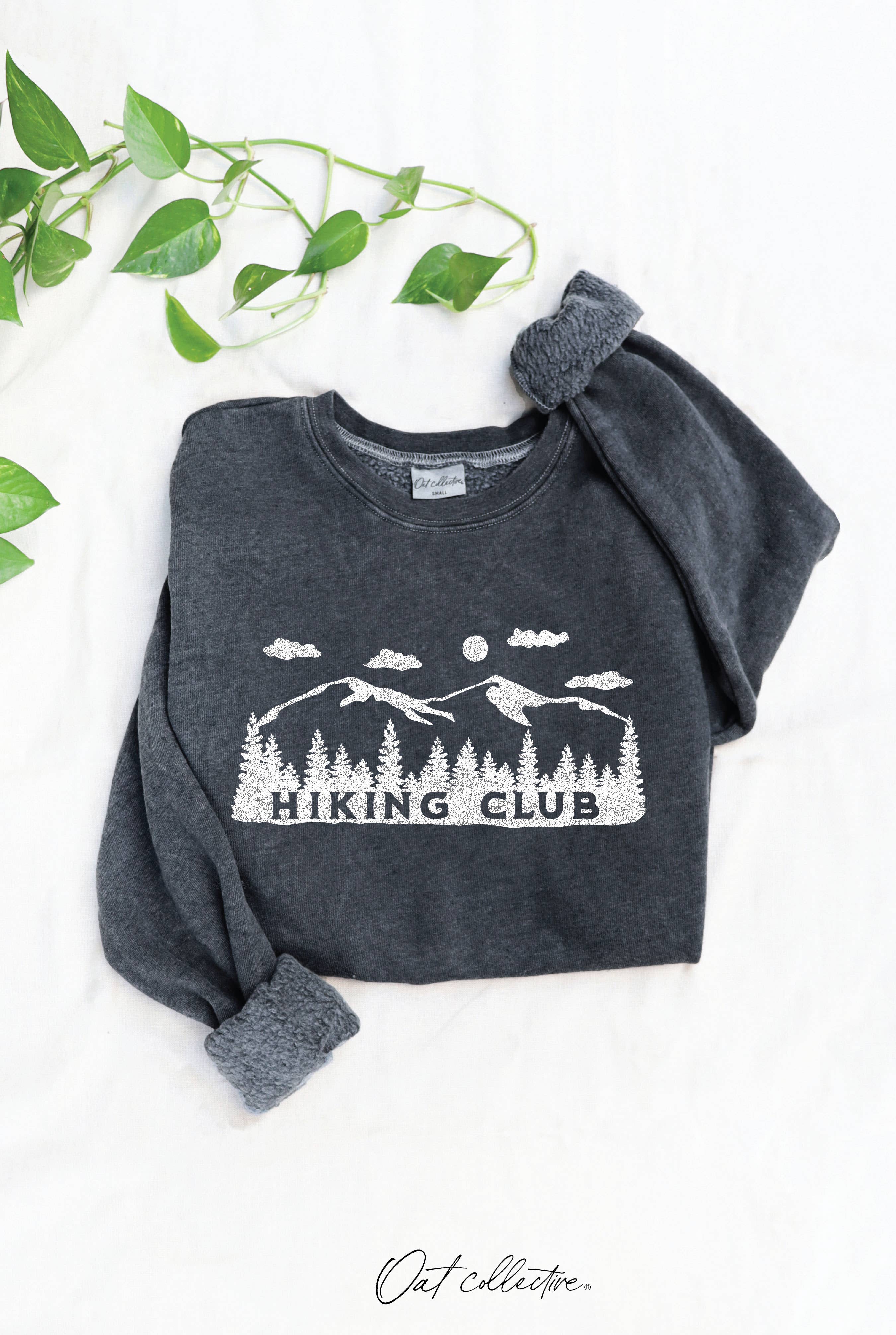 HIKING CLUB Mineral Graphic Sweatshirt