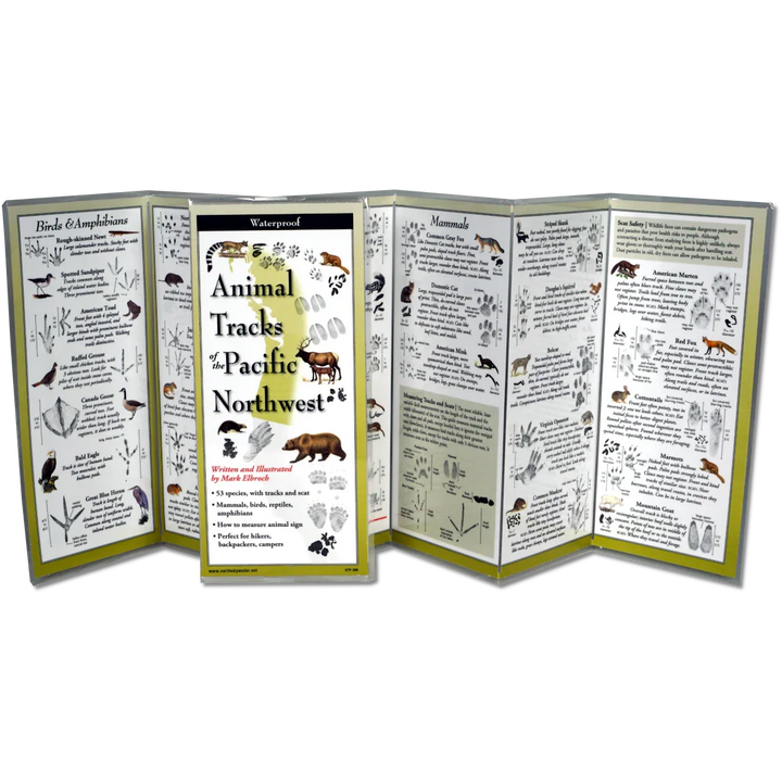 Waterproof Animal Tracks of the Pacific Northwest guide for hikers and campers
