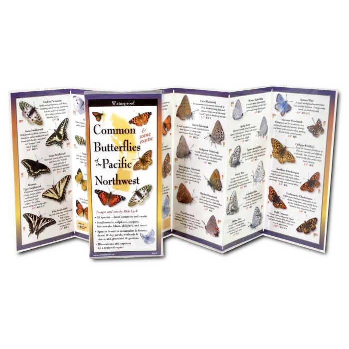 Common Butterflies of the Pacific Northwest guide with waterproof design and detailed illustrations