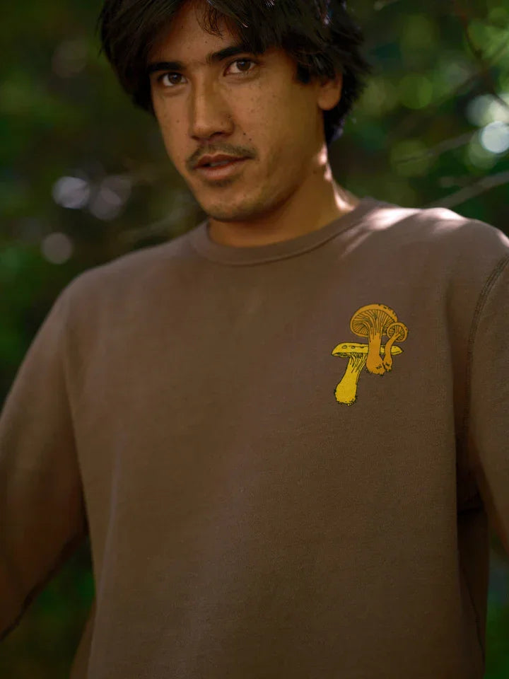 Brown crewneck sweatshirt with yellow mushroom graphic, perfect for PNW outdoor adventures and coastal style.