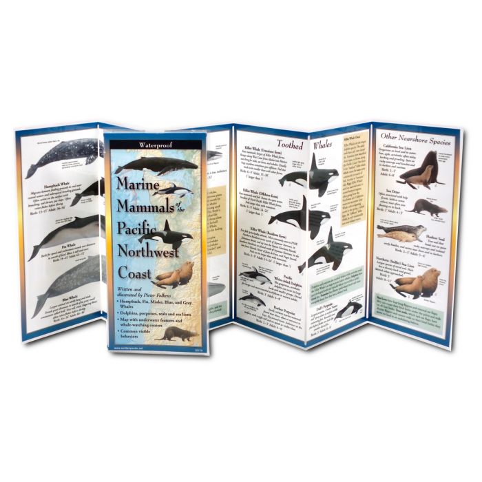 Marine Mammals of Pacific Northwest Coast
