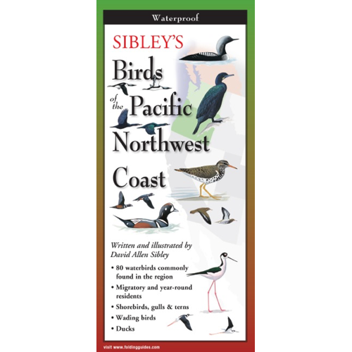 Sibley's Birds of the Pacific Northwest Coast