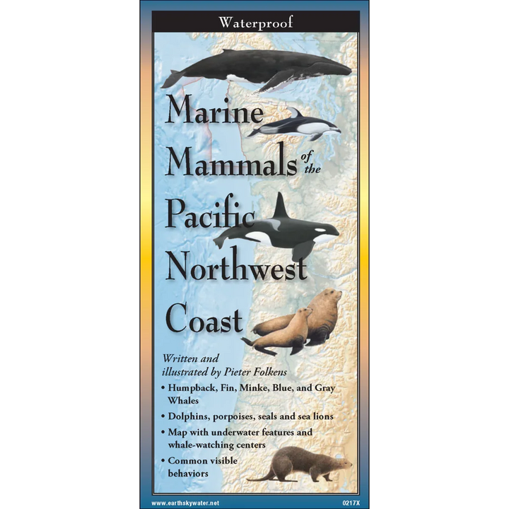 Marine Mammals of Pacific Northwest Coast
